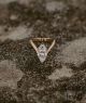 Luxury Marquise Cut Solitaire Diamond Engagement Ring in 14K Yellow Gold – Elegant Minimalist Bridal Ring for Women